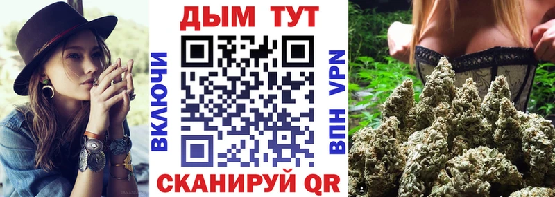 что такое   Заозёрск  Шишки марихуана Amnesia 